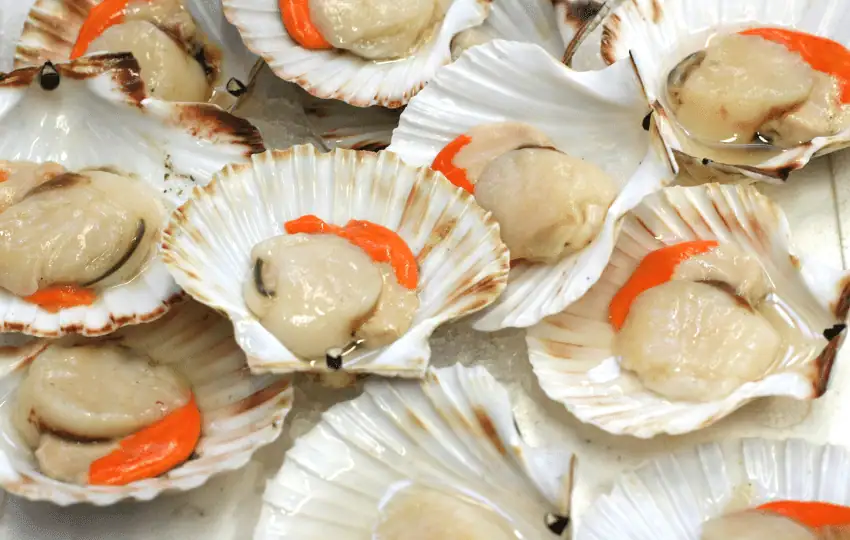 Scallops are a type of shellfish that is harvested from both saltwater and freshwater sources. They have white, firm flesh and a slightly sweet taste. 
