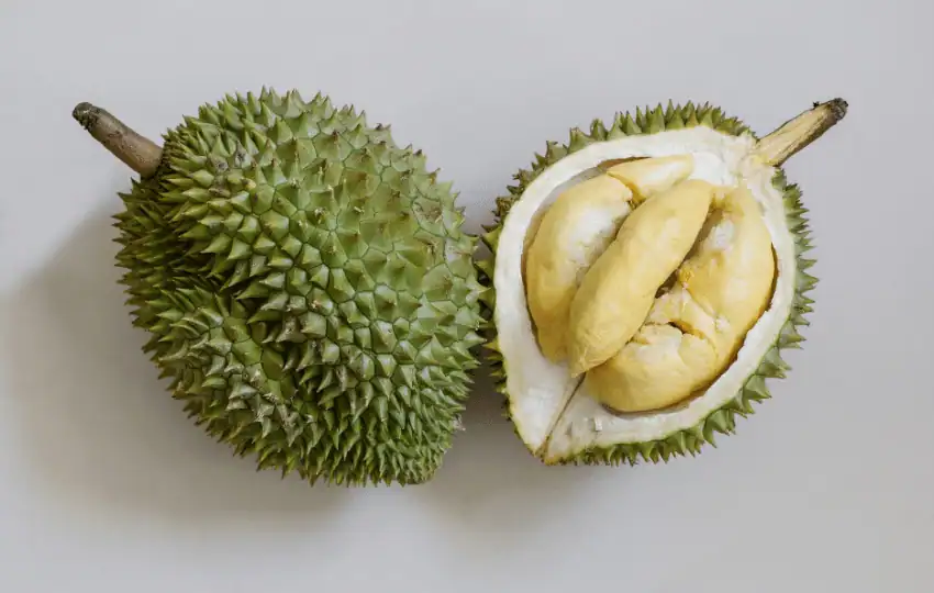 Durian is revered in many cultures for its unique taste and aroma. If you're curious about this controversial fruit but don't know where to start, you've come to the right place