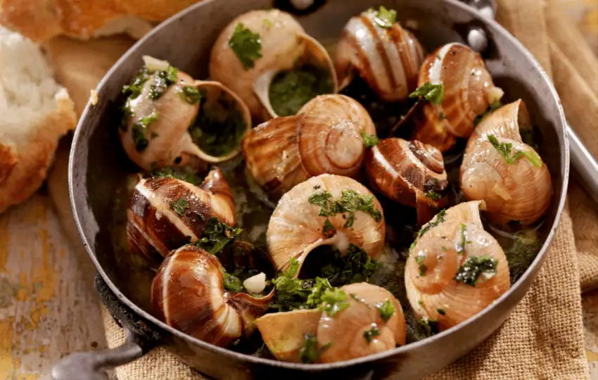 The aroma of escargot is as earthy or sweet as mushroom-like. This is because escargot is often raised on a diet of mushrooms. 