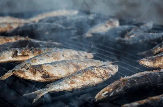 Sardines that are smoked or grilled tend to have a stronger flavor than those canned in oil.