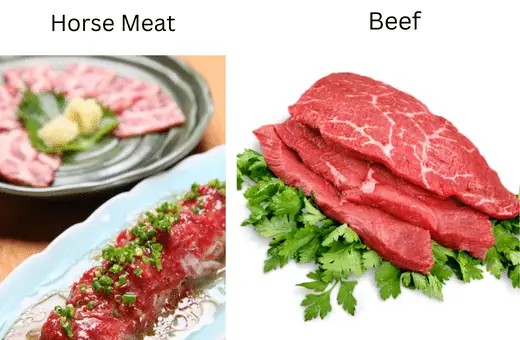 Both horse and beef are red meats that are rich in flavor. However, I find that horse meat is slightly sweeter than beef and has a more tender texture
