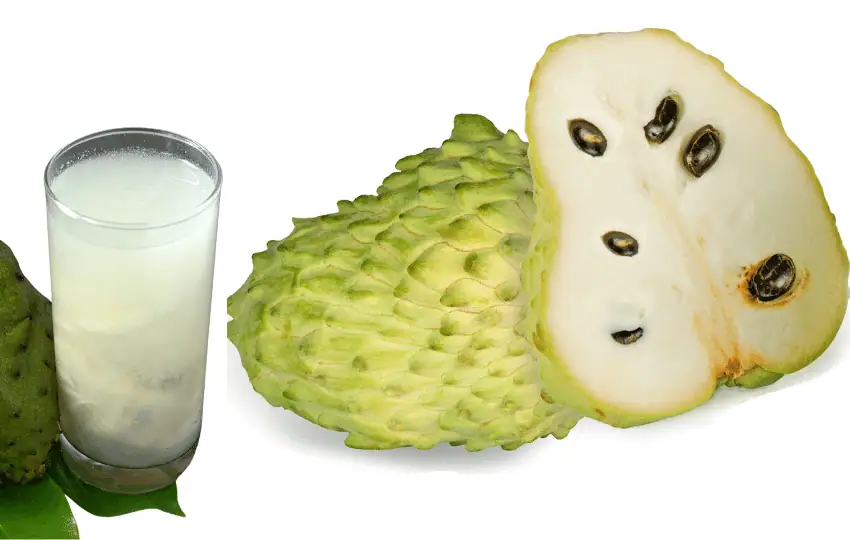 Soursop is a tropical fruit native to Southeast Asia, Africa, and Latin America. The fruit has an oblong form and green skin. The flesh of the fruit is white or light green, with little black seeds. When mature, the fruit is delicate and mildly sweet with a sour undertone. 